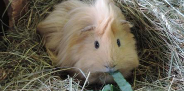 punky NAWelfare Trust.jpg